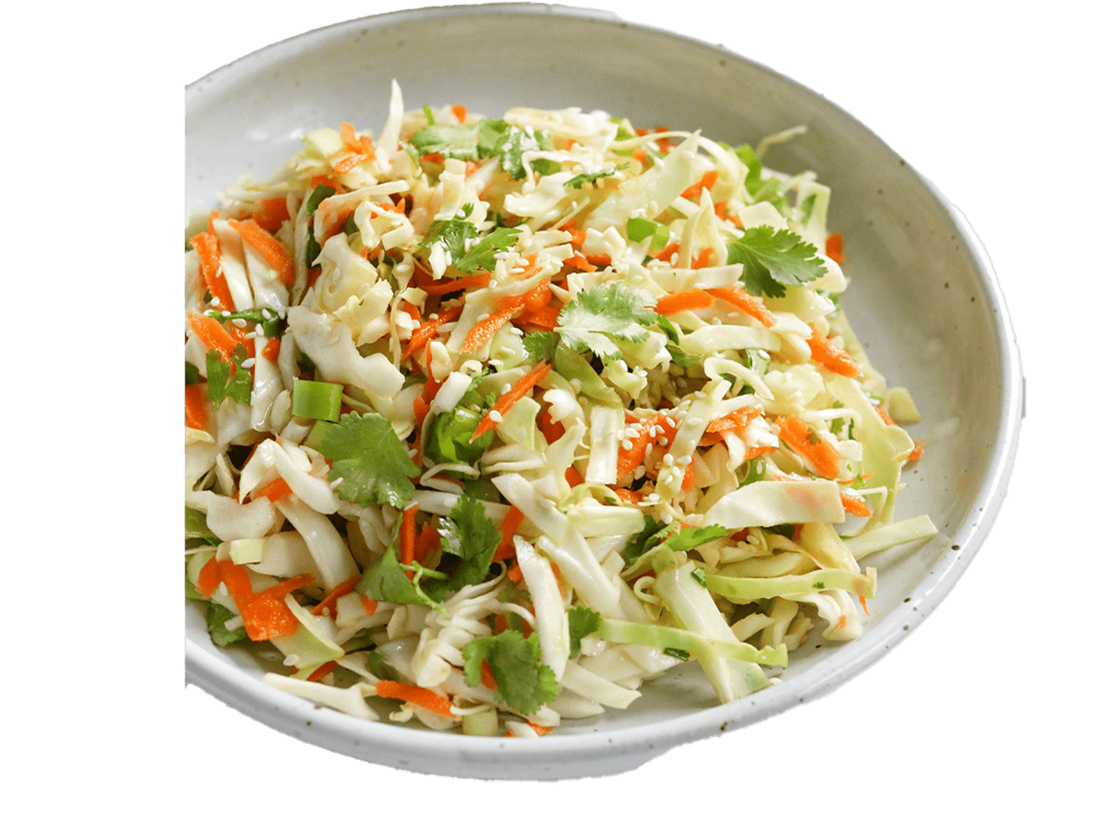 Papaya, Carrot, Strips Making Disc-Jali for Namkeen Machine - Image 4
